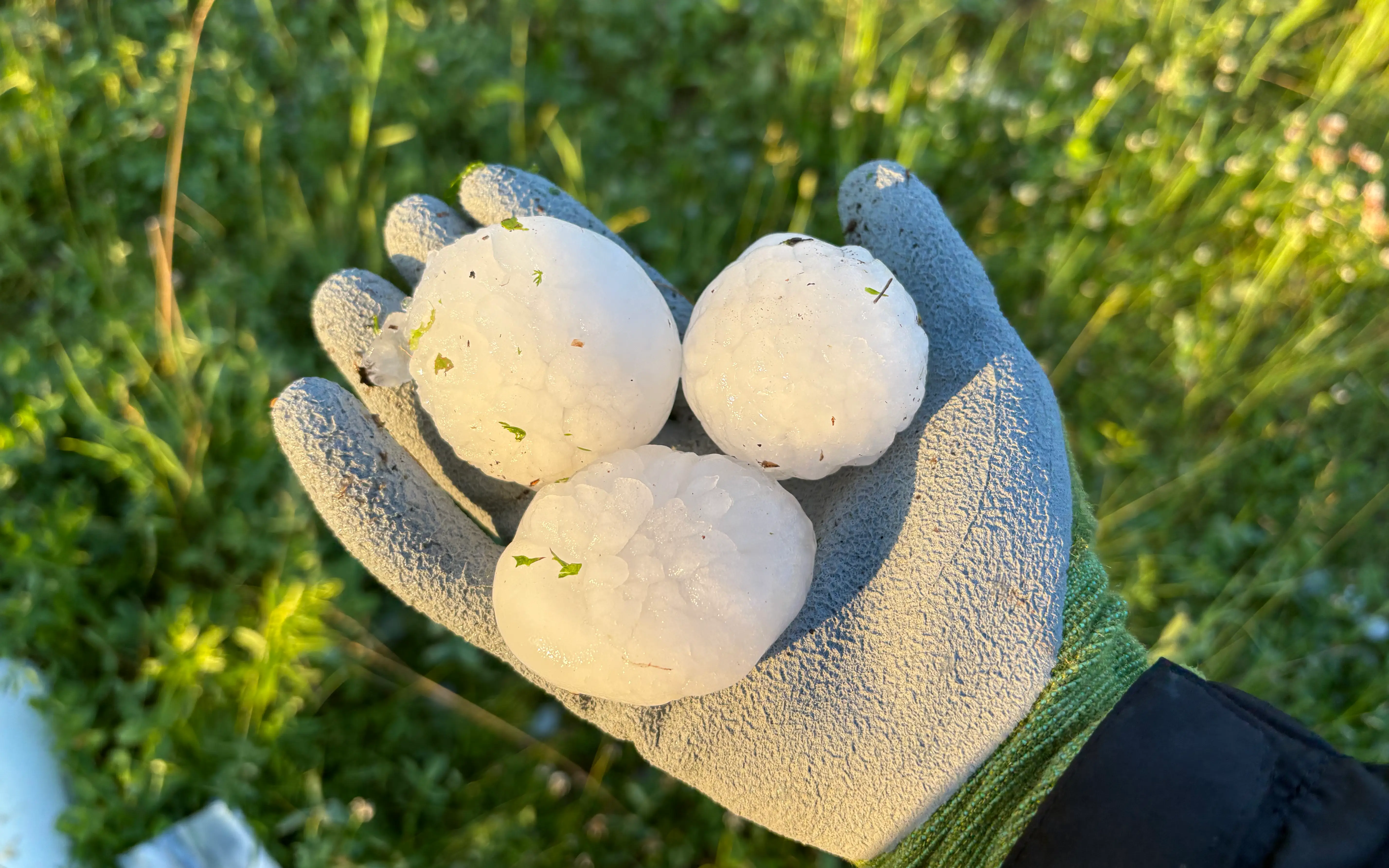 Hailstone in hand showing the size and structure of hailstones
